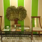 Hotel Nuevo Ara Caceres