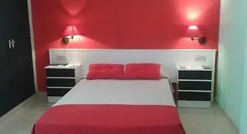Nuevo Ara