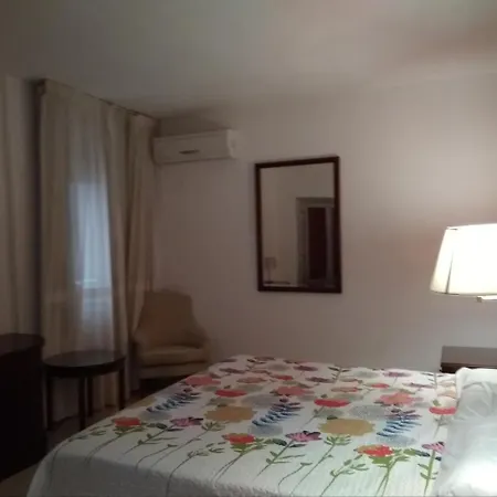 Hotel Nuevo Ara