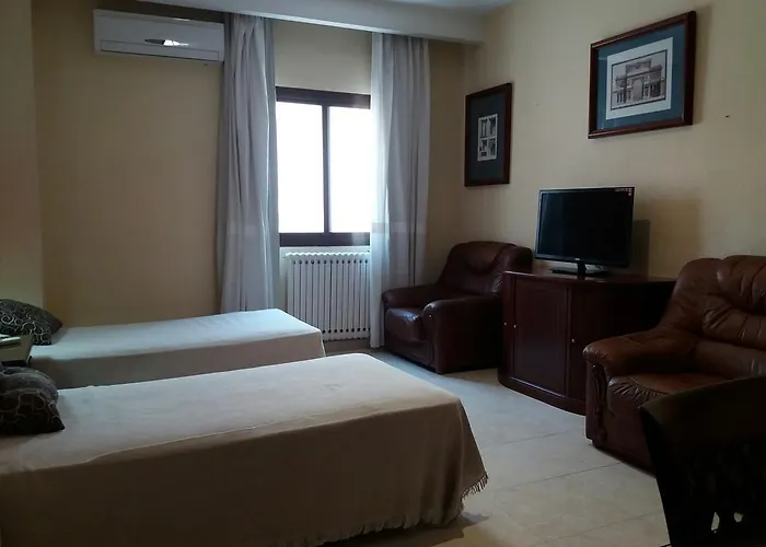 Ξενοδοχείο Hotel Nuevo Ara *