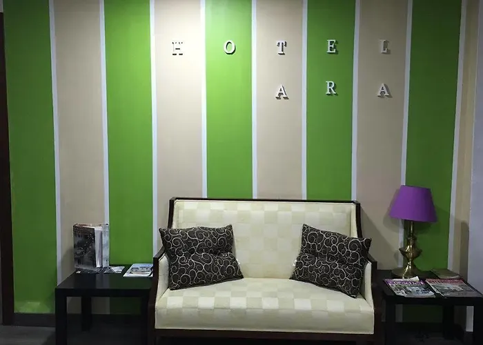 Nuevo Ara Отель *