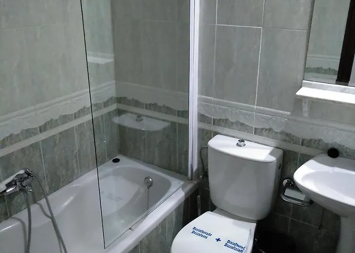 Nuevo Ara Отель *